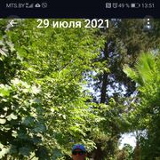  ,   , 62 ,   c 