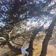 ���������� ������, ������