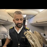 ���������� Al Ghardaqah, ���� ������� Ahmed, 41 ���, ������������ ��� ������, ����� � ���������