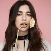 ���������� ������, ���� ������� ���� ���, 35 ���, ������������ ��� ������, ����� � ���������