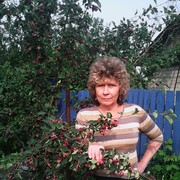  ,   , 62 ,  