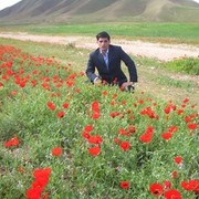 ���������� ������, ���� ������� Saed, 41 ���, ������������ ��� ������, ����� � ���������, c�������� ���������