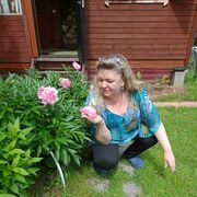 ���������� ������, ���� ������� ��������, 51 ���, ������������ ��� ������, ����� � ���������