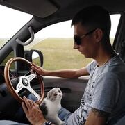 ���������� �������, ���� ������� �����, 41 ���, ������������ ��� ������, ����� � ���������