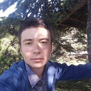 ���������� �����������, ���� ����� ����������, 24 ����, ������������ ��� ������, ����� � ���������