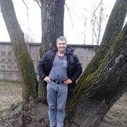 ���������� �����, ���� ������� ���������, 53 ����, ������������ 