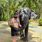 ���������� ���������, ���� ������� ������, 33 ����, ������������ ��� c�������� ���������