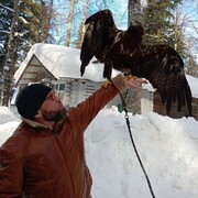 ���������� ���������, ���� ������� �������, 42 ����, ������������ ��� c�������� ���������, ���������