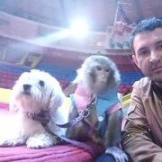 ���������� ������, ���� ������� ���������, 41 ���, ������������ ��� ������, ����� � ���������, c�������� ���������