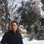  ,  uzaq, 43