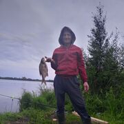 ���������� �����-���������, ���� ������� �����, 41 ���, ������������ ��� ����� � ���������, c�������� ���������