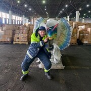  ,   , 30 ,   c 