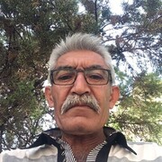  ,  Halis, 48