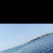 ���������� ������������, ���� ������� ���������, 44 ����, ������������ ��� ������, ����� � ���������