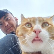 ���������� ������, ���� ������� ����, 26 ���, ������������ ��� ������, ����� � ���������