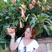  ,   , 49 ,     , c 