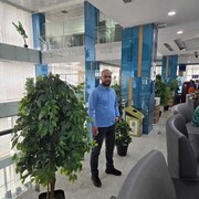  ,   , 43 ,   ,   