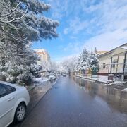 ���������� �������, ���� ������� �����, 41 ���, ������������ ��� ������, ����� � ���������