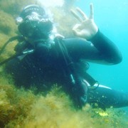 ���������� �����, ���� ������� Dimasik, 33 ����, ������������ 