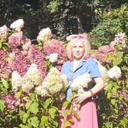  ,   , 63 ,   c 