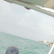 ���������� ����������, ���� ������� ���, 33 ����, ������������ ��� ������, ����� � ���������