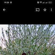  ,   , 65 ,   ,   