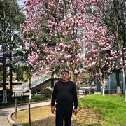  ,   , 44 ,   