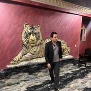 ���������� ������, ���� ������� �����, 43 ����, ������������ ��� ������, ����� � ���������