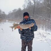 ���������� ������, ���� ������� ������, 57 ���, ������������ ��� c�������� ���������