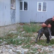 ���������� ���, ���� ������� ����, 55 ���, ������������ ��� ������, ����� � ���������, c�������� ���������