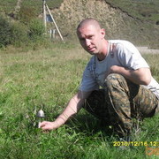  ,   , 45 ,   