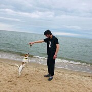 ���������� ���������, ���� ������� ����, 34 ����, ������������ ��� ������, ����� � ���������