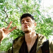 ���������� ���������, ���� ������� ���������, 29 ���, ������������ ��� ������, ����� � ���������, c�������� ���������