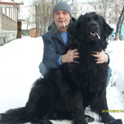 ���������� ����, ���� ������� ������, 46 ���, ������������ ��� ������, ����� � ���������, c�������� ���������