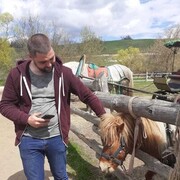 ���������� ������, ���� ������� ��������, 31 ���, ������������ ��� ������, ����� � ���������