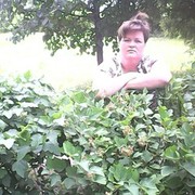   ,   Alena, 44 ,     , c 