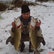 ���������� �������, ���� ������� Vitali, 47 ���, ������������ ��� ������, ����� � ���������, c�������� ���������