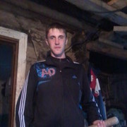  ,   Vitek, 31 ,   ,   , c 