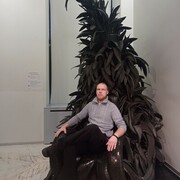 ���������� �����-���������, ���� ������� ������, 38 ���, ������������ ��� ������, ����� � ���������, c�������� ���������