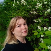  ,  , 44
