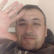 ,   Nematillo, 41 ,   , c 
