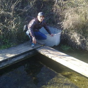 ���������� �����������, ���� ������� �����, 50 ���, ������������ ��� ����� � ���������, c�������� ���������