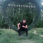 ���������� ������������, ���� ����� ����, 24 ����, ������������ ��� ������, ����� � ���������, c�������� ���������, ���������