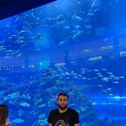 ���������� �����, ���� ������� ���, 30 ���, ������������ ��� ������, ����� � ���������