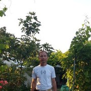  ,  , 50