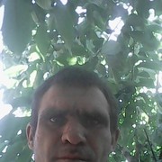 --,   , 40 ,   ,   , c 