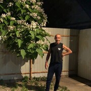  ,   , 62 ,   ,   