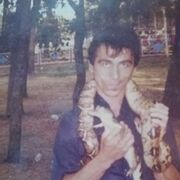  ,   , 55 ,   ,   