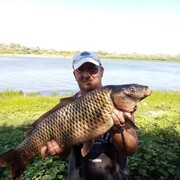 ���������� ���������, ���� ������� ������, 57 ���, ������������ ��� ����� � ���������, c�������� ���������