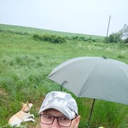 ���������� ������, ���� ������� ��������, 47 ���, ������������ 